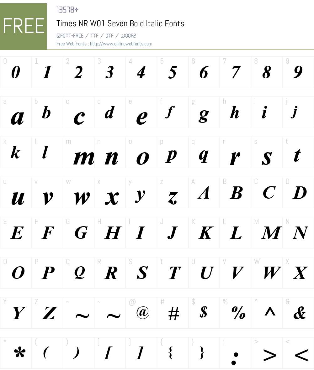 TimesNRW01-SevenBoldItalic Font Screenshots