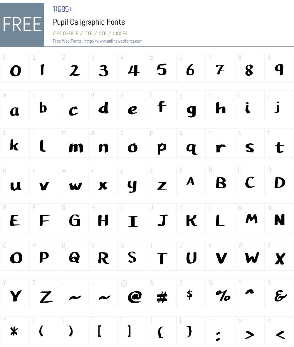 Pupil Caligraphic Font Screenshots