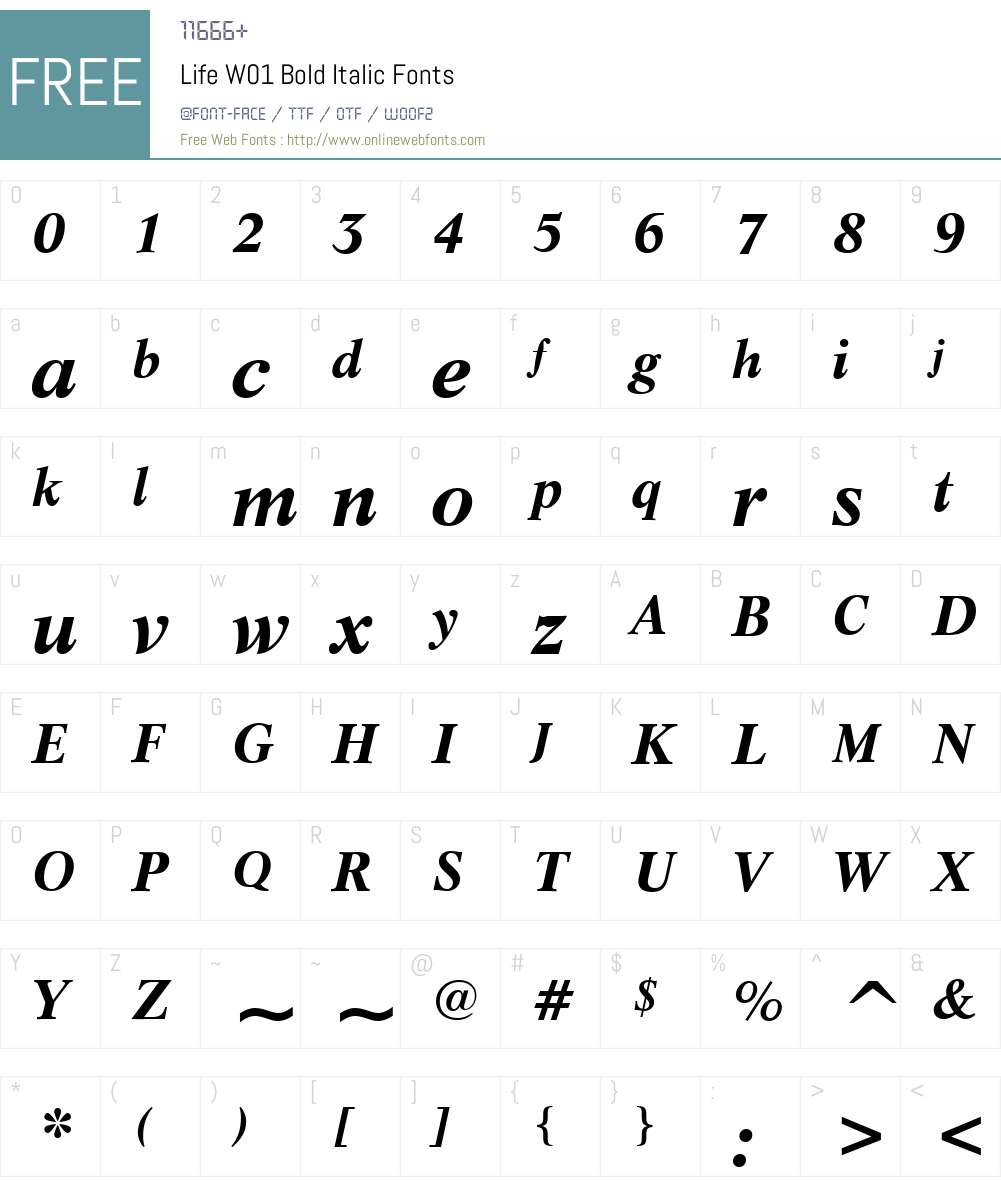 LifeW01-BoldItalic Font Screenshots