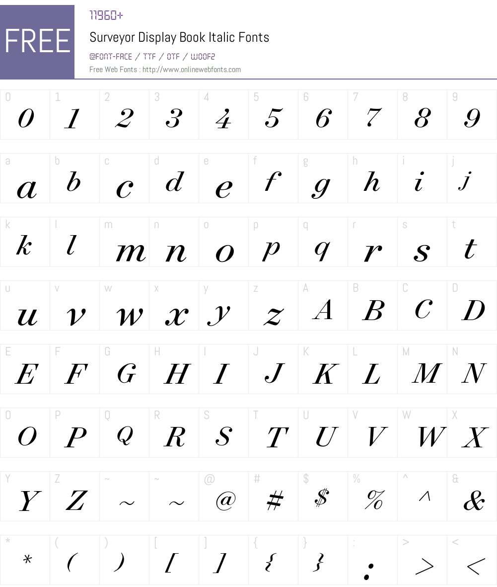 Surveyor Display Book Font Screenshots