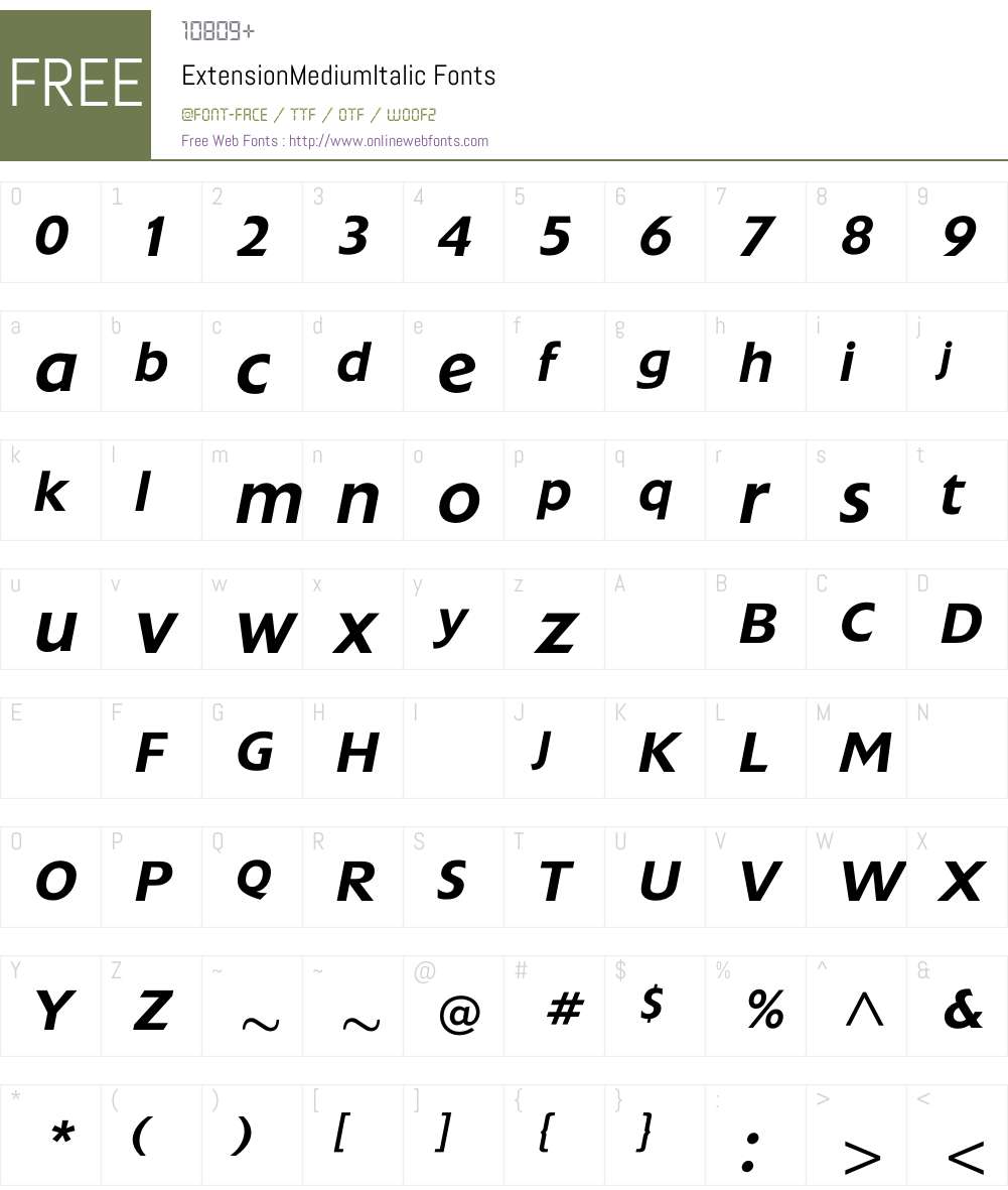 ExtensionMediumItalic Font Screenshots