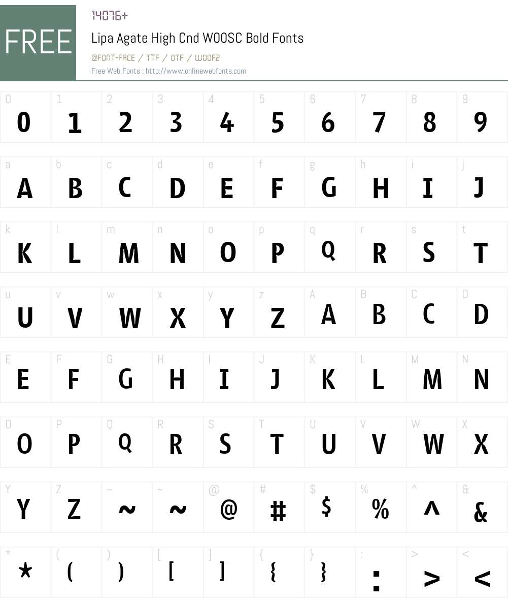 LipaAgateHighCndW00SC-Bold Font Screenshots