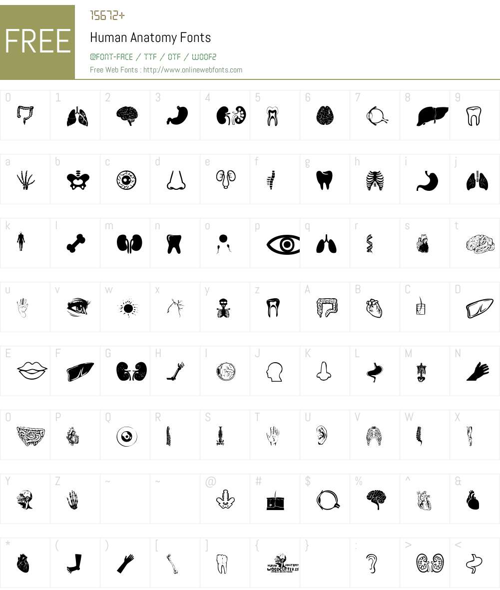 Human Anatomy 1.00 December 29, 2014, initial release Fonts Free ...