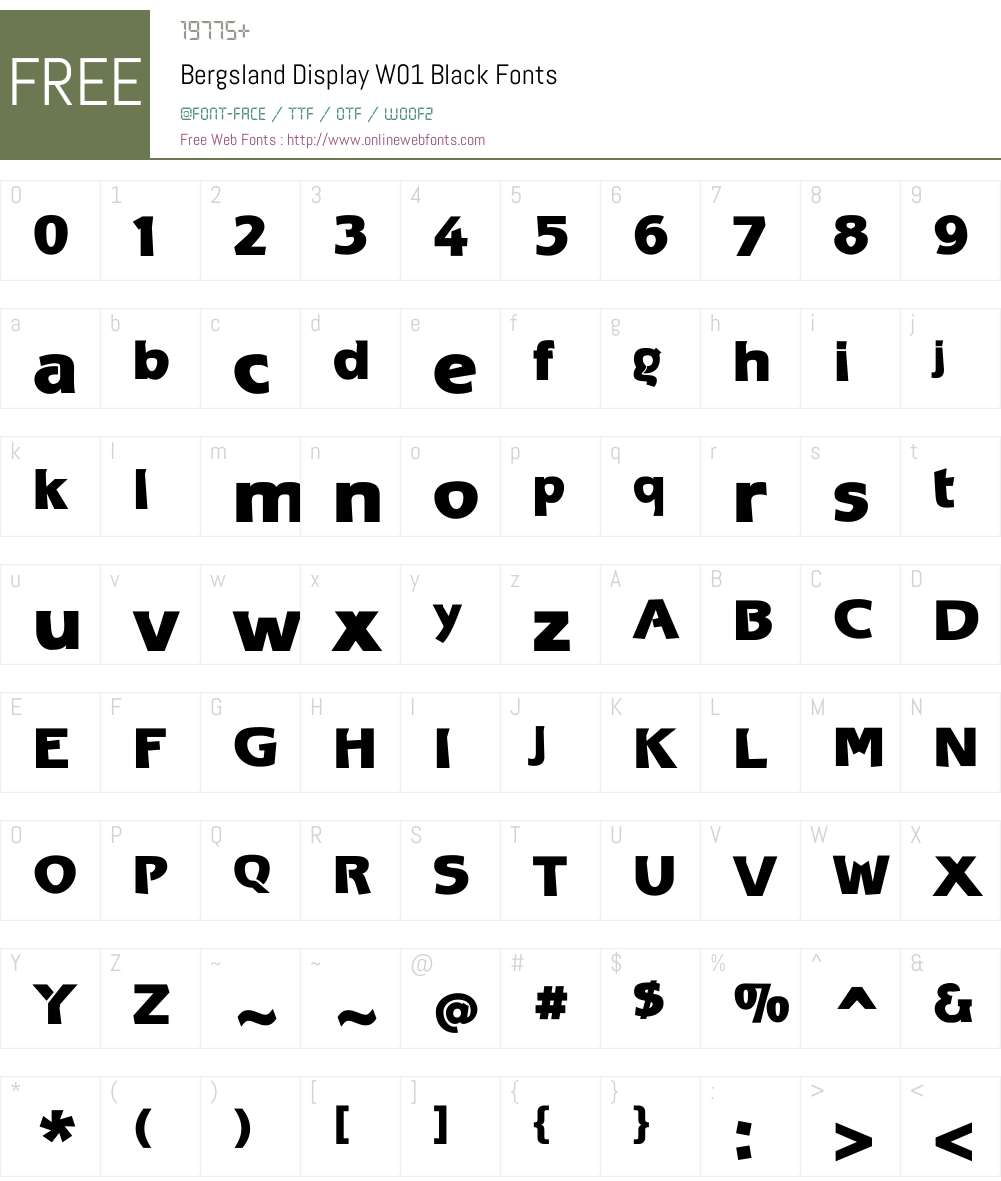 BergslandDisplayW01-Black Font Screenshots