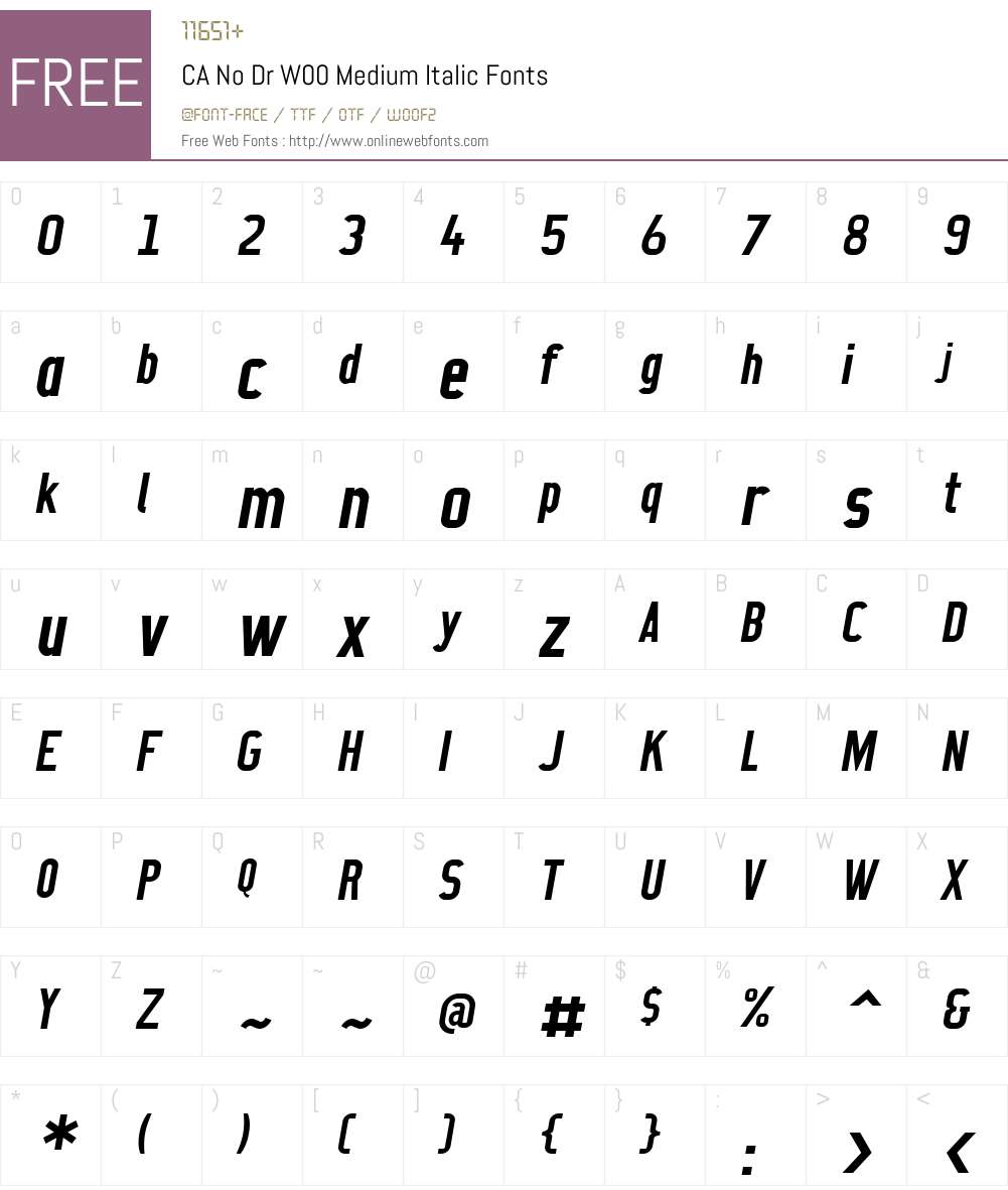 CANoDrW00-MediumItalic Font Screenshots
