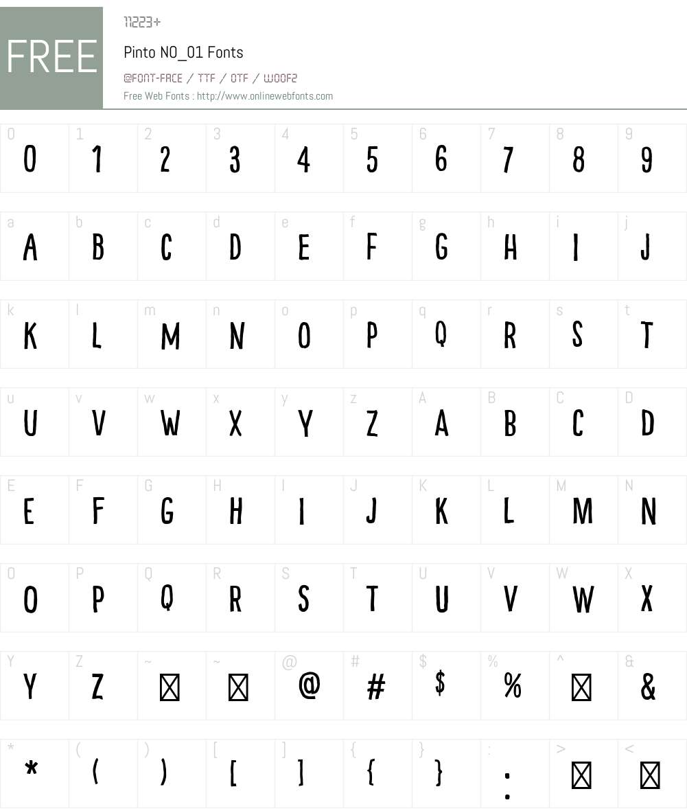 Pinto-NO_01 Font Screenshots
