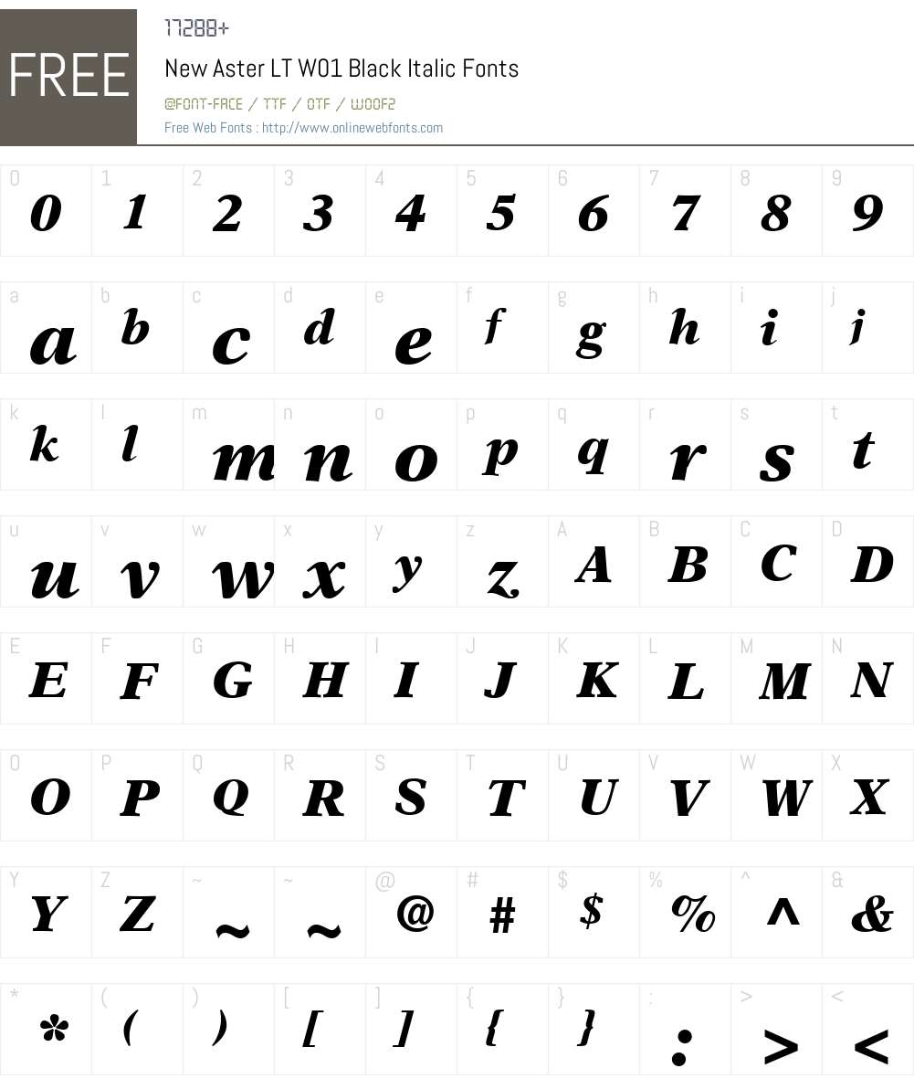NewAsterLTW01-BlackItalic Font Screenshots