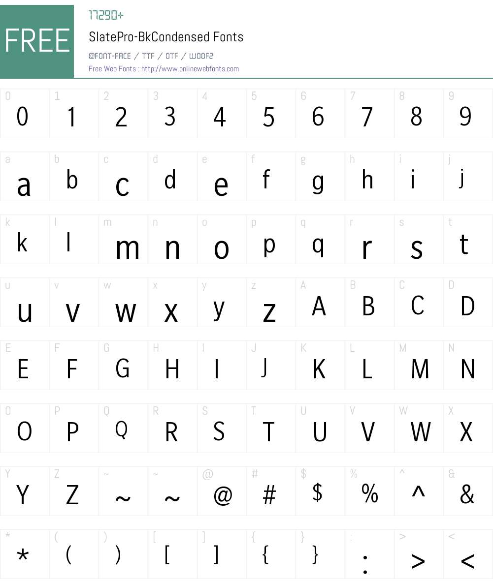 Slate Pro Bk Condensed Font Screenshots