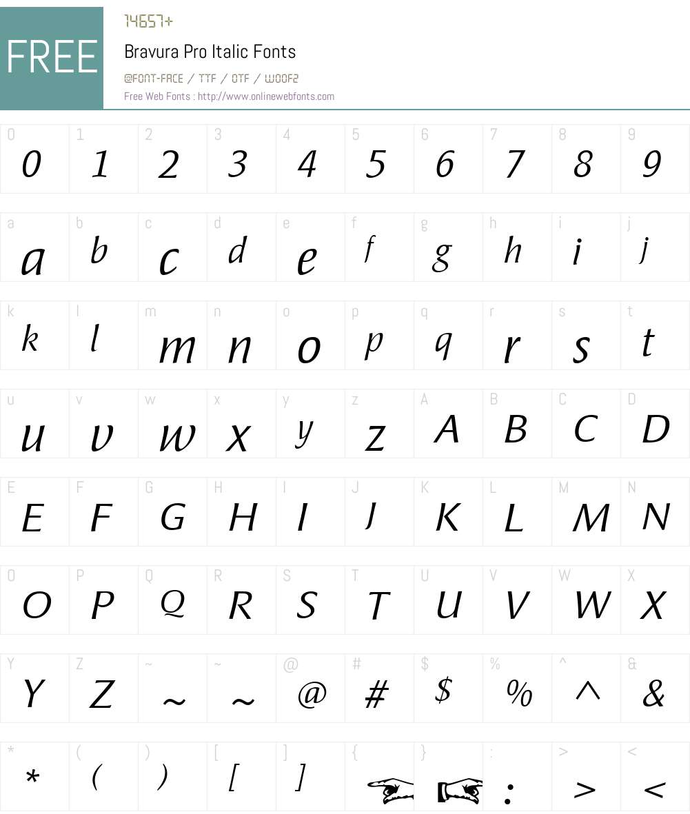 BravuraPro-Italic Font Screenshots