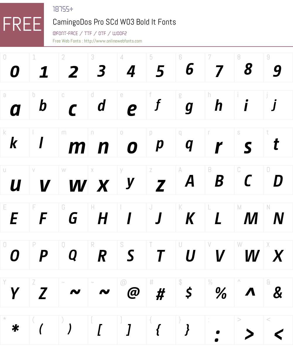 CamingoDosProSCdW03-BoldIt Font Screenshots