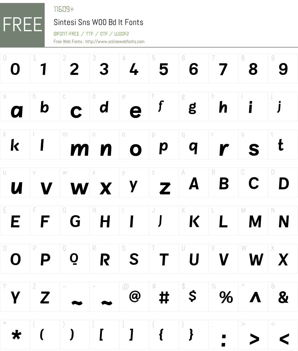 SintesiSnsW00-BdIt Font Screenshots
