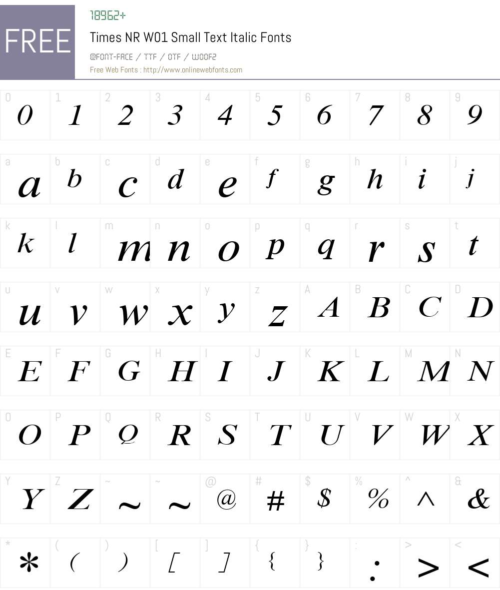 TimesNRW01-SmallTextItalic Font Screenshots