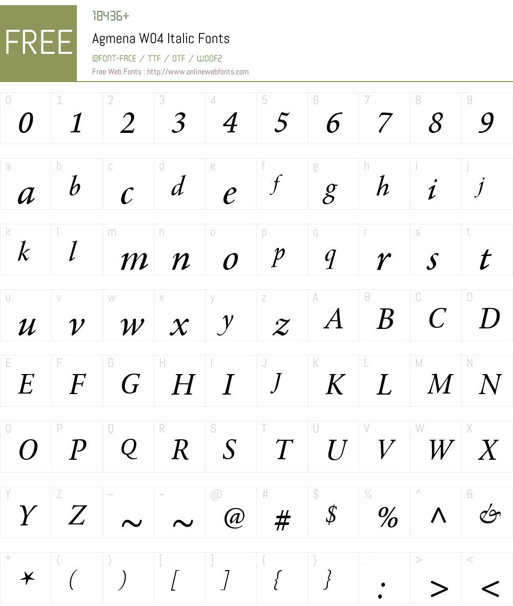AgmenaW04-Italic Font Screenshots