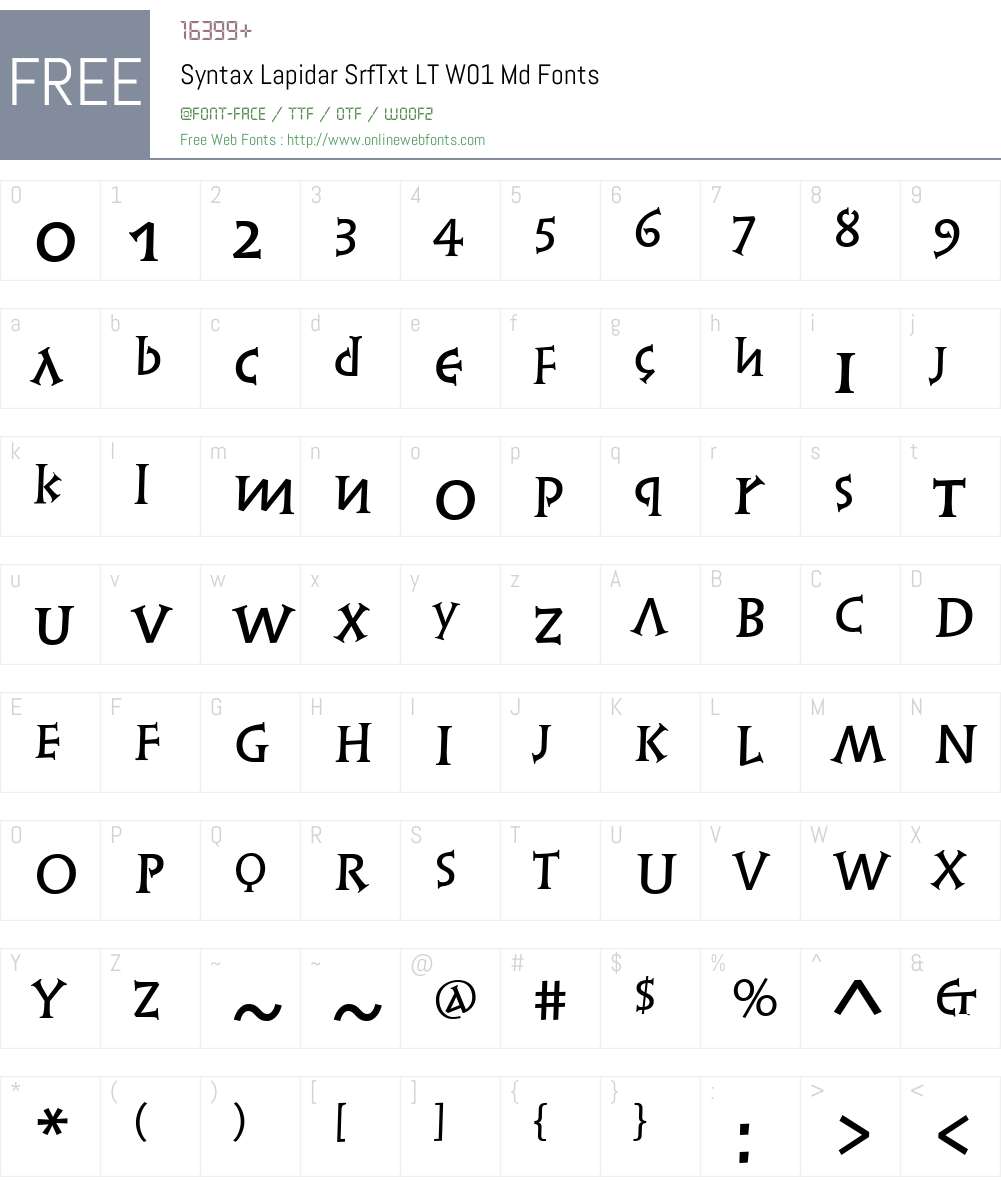 SyntaxLapidarSrfTxtLTW01-Md Font Screenshots