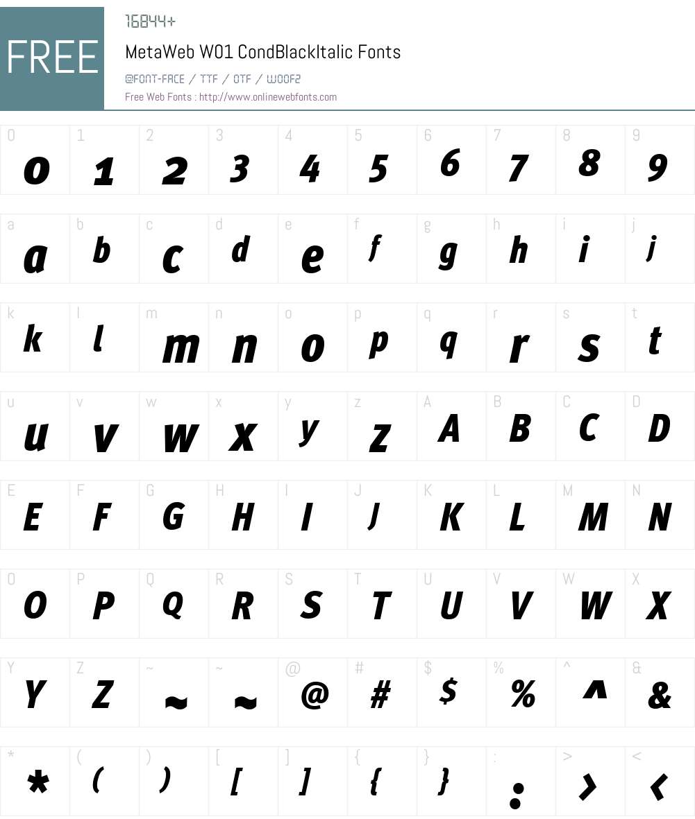 MetaWebW01-CondBlackItalic Font Screenshots
