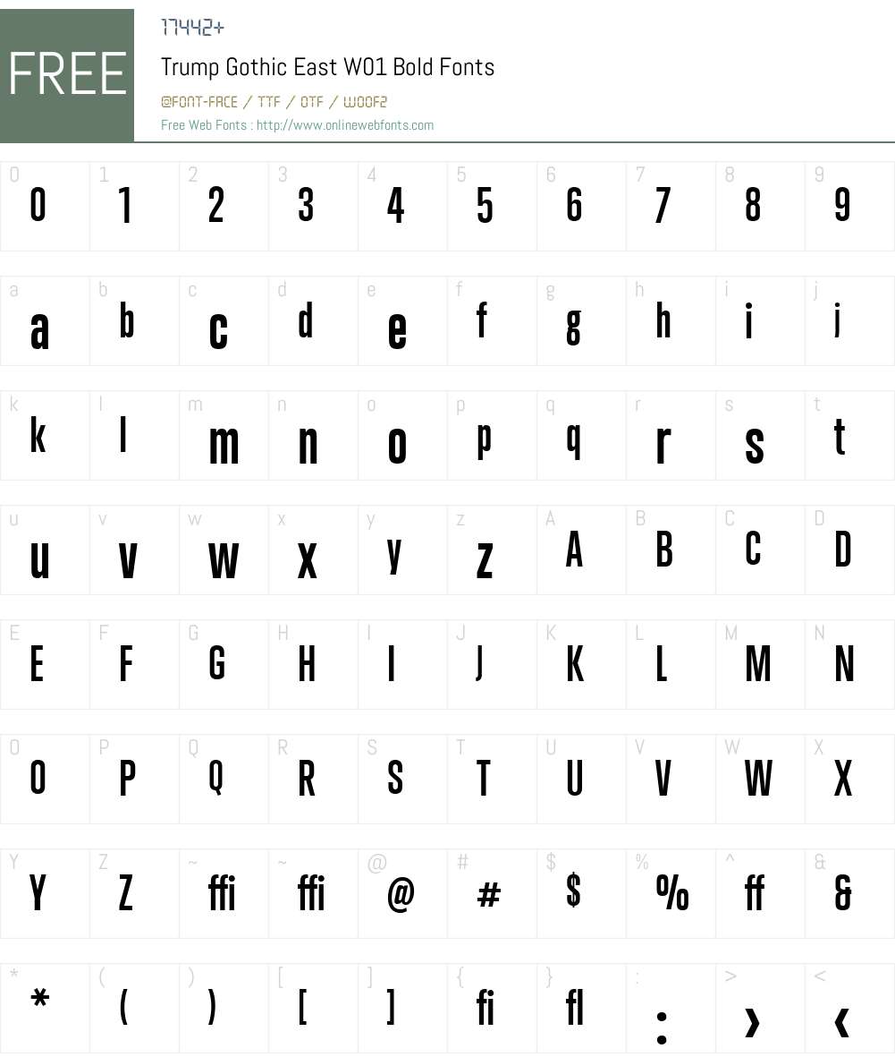 TrumpGothicEastW01-Bold Font Screenshots