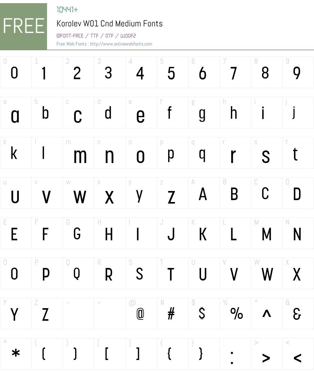 KorolevW01-CndMedium Font Screenshots
