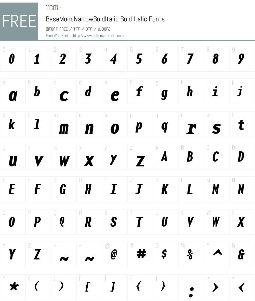 BaseMonoNarrowBoldItalic Font Screenshots