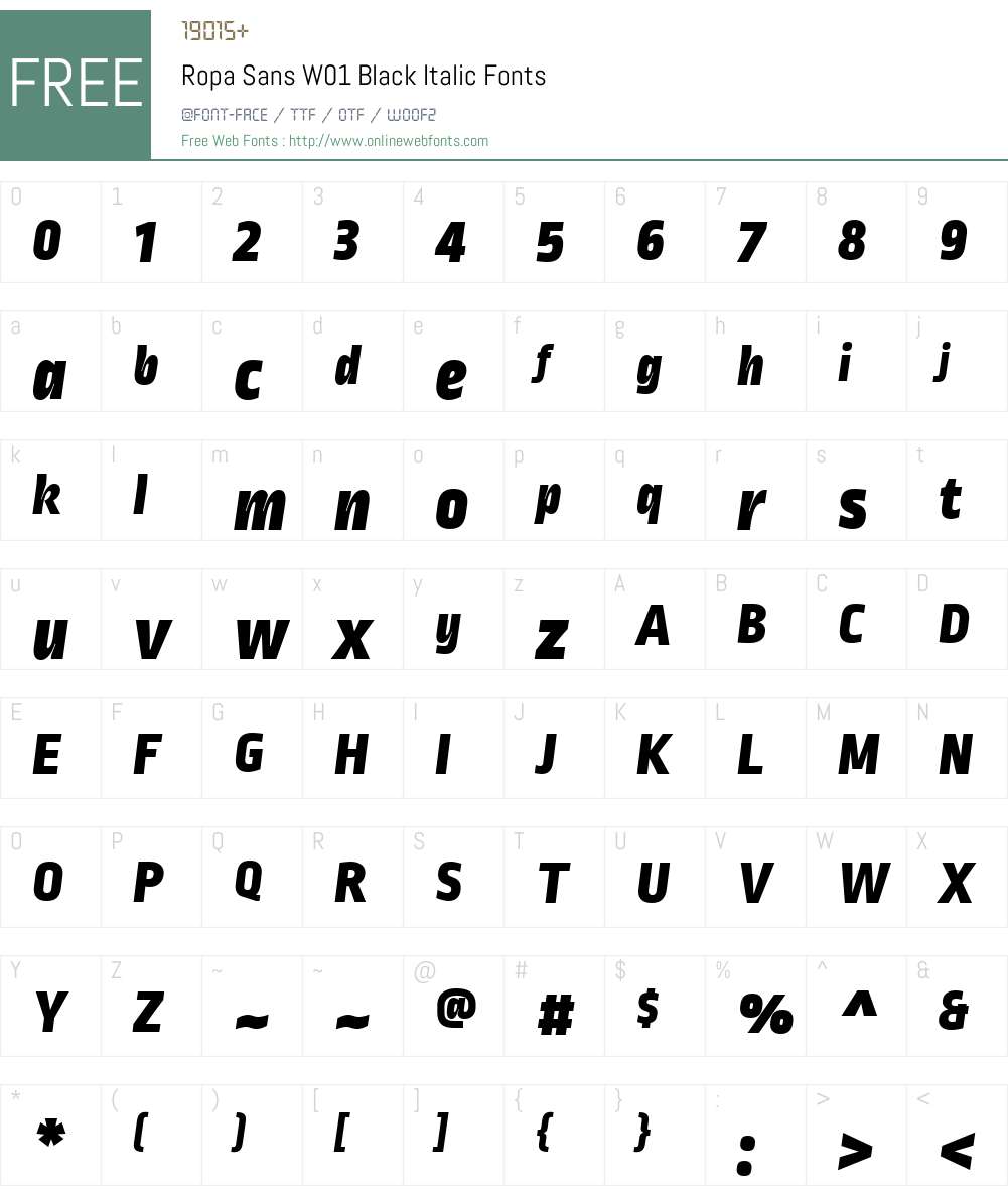 RopaSansW01-BlackItalic Font Screenshots