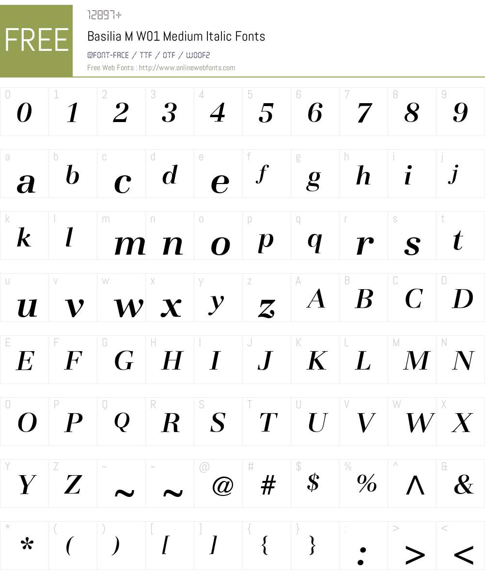 BasiliaMW01-MediumItalic Font Screenshots