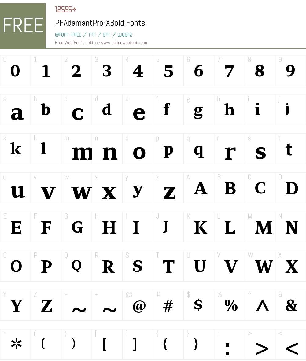 PF Adamant Pro XBold Font Screenshots