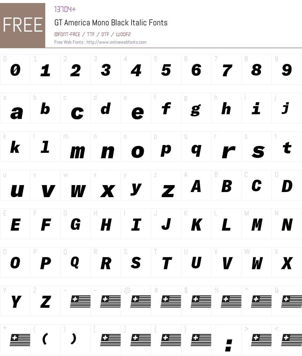 GT America Mono Black Font Screenshots