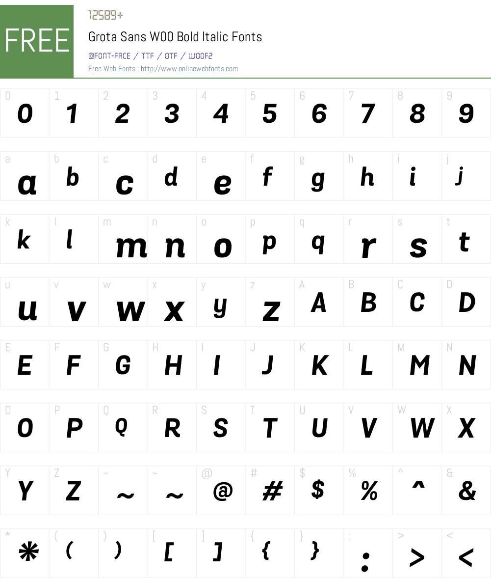 GrotaSansW00-BoldItalic Font Screenshots