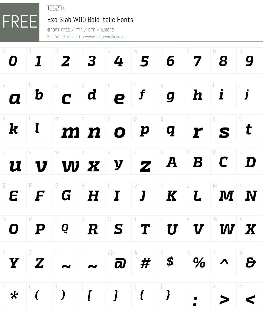 ExoSlabW00-BoldItalic Font Screenshots