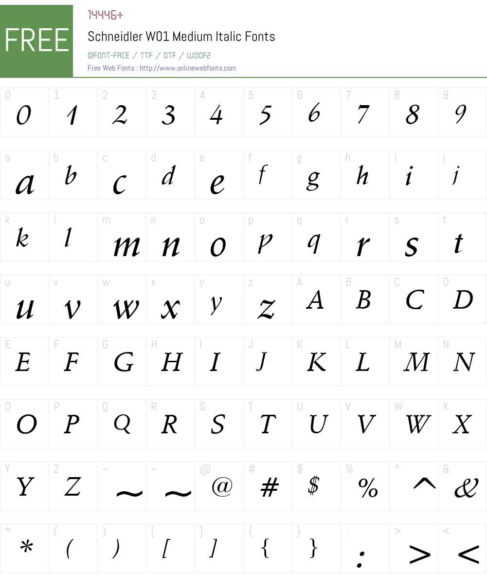 SchneidlerW01-MediumItalic Font Screenshots