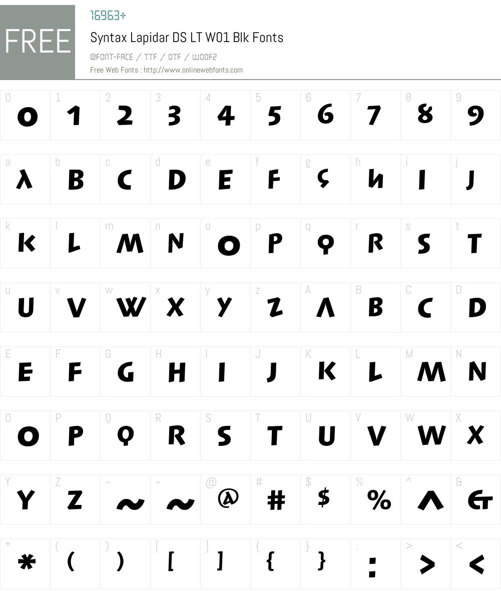SyntaxLapidarDSLTW01-Blk Font Screenshots