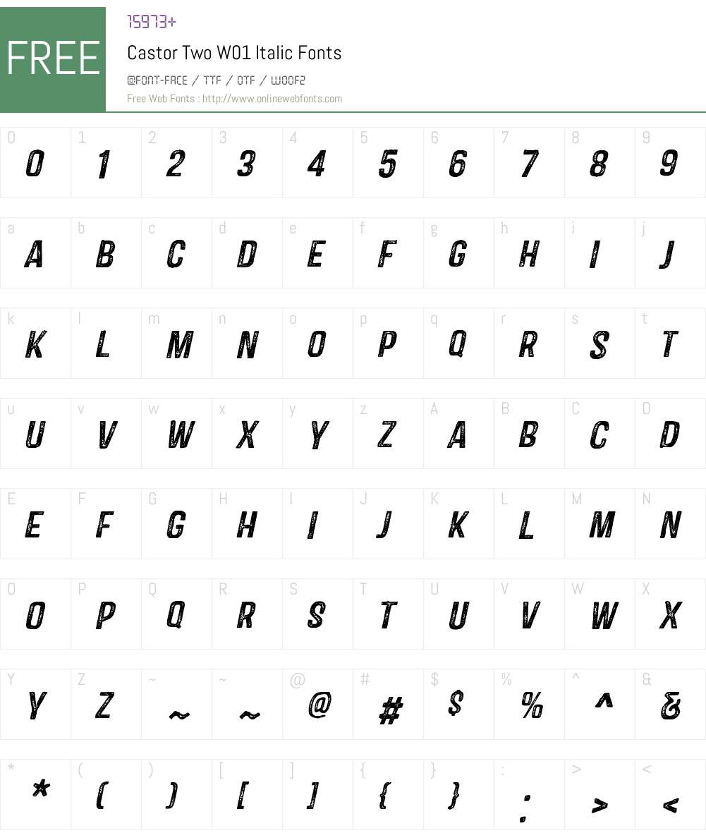 CastorTwoW01-Italic Font Screenshots