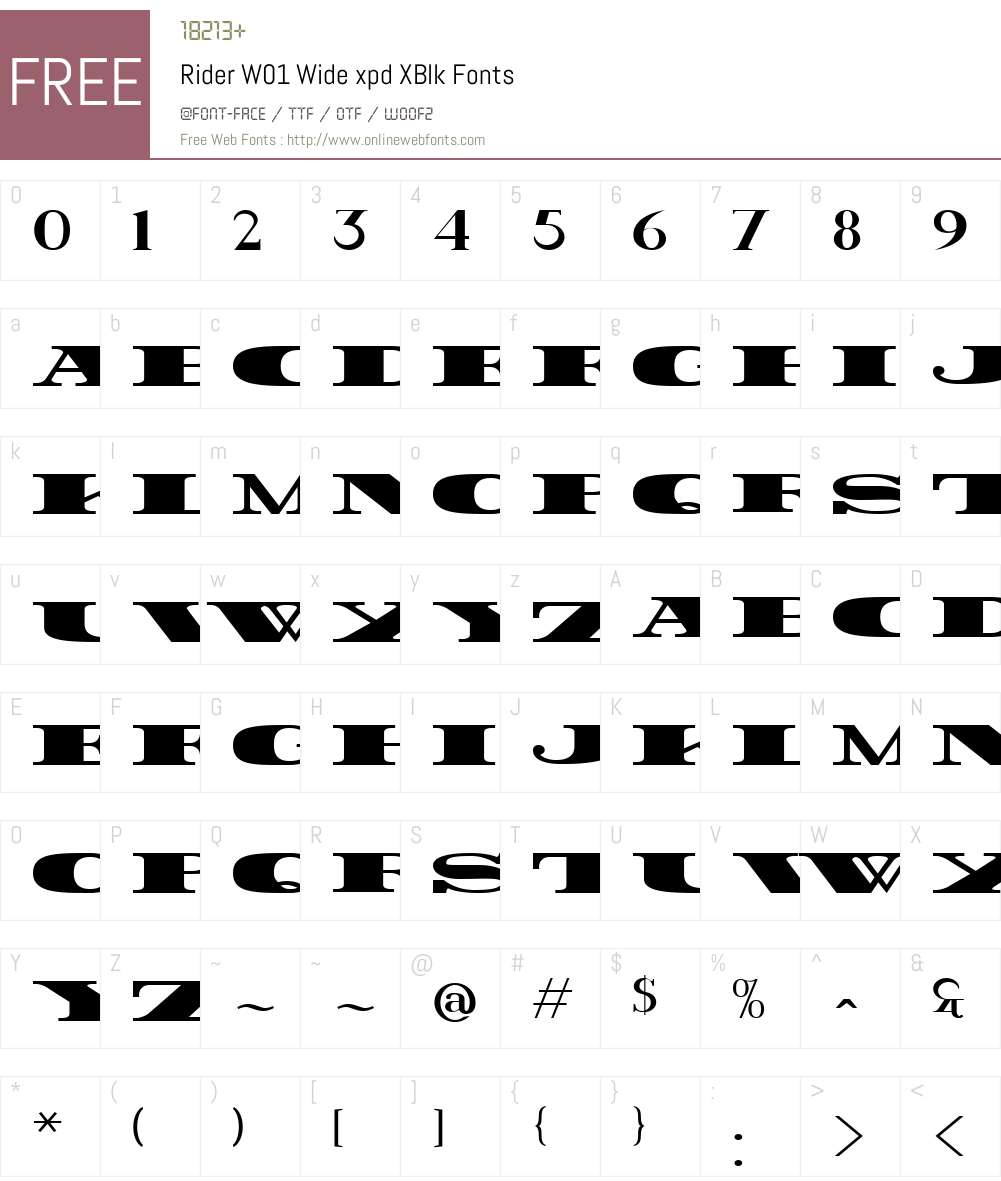 RiderW01-WidexpdXBlk Font Screenshots