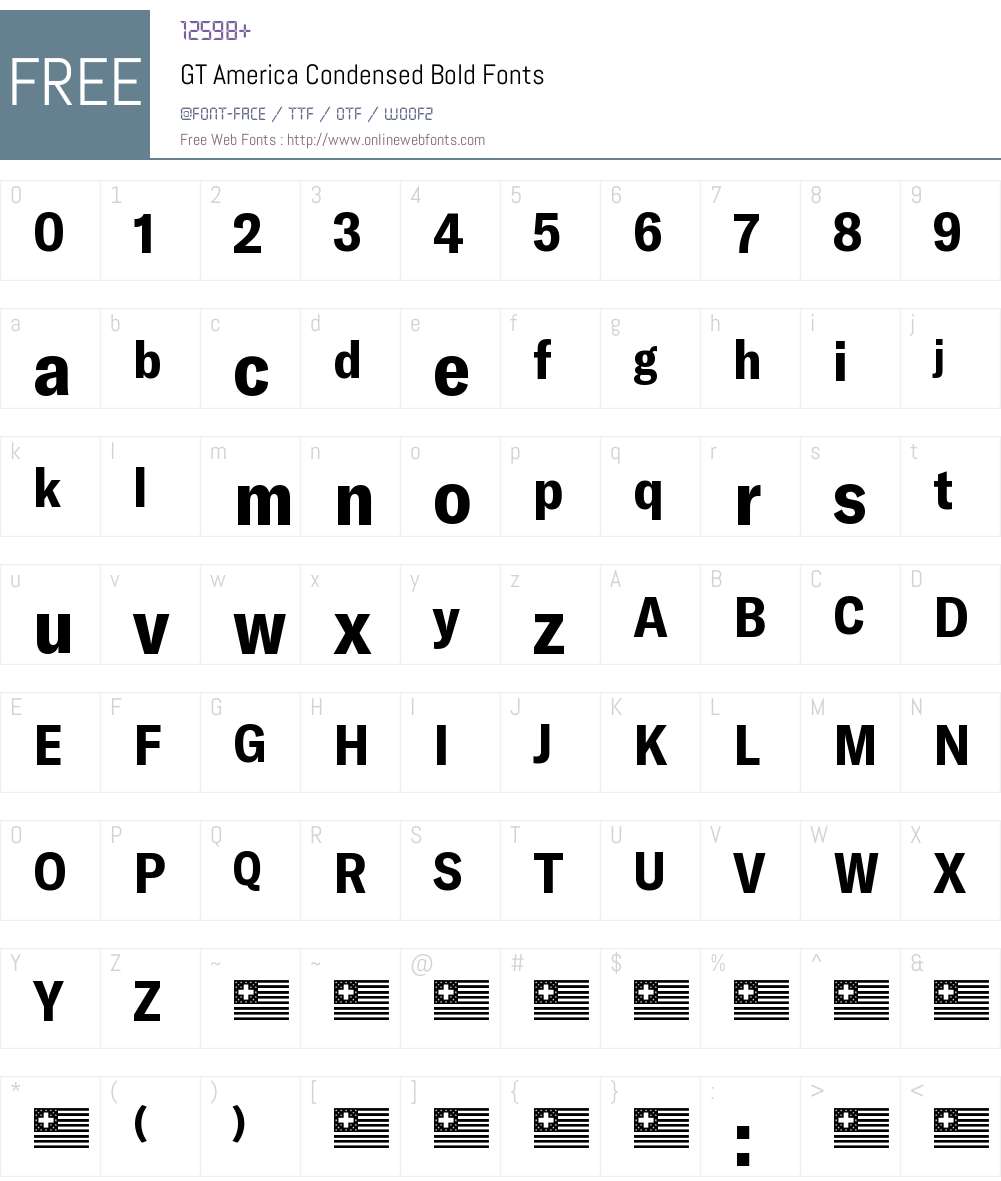 GT America Condensed Bold Font Screenshots