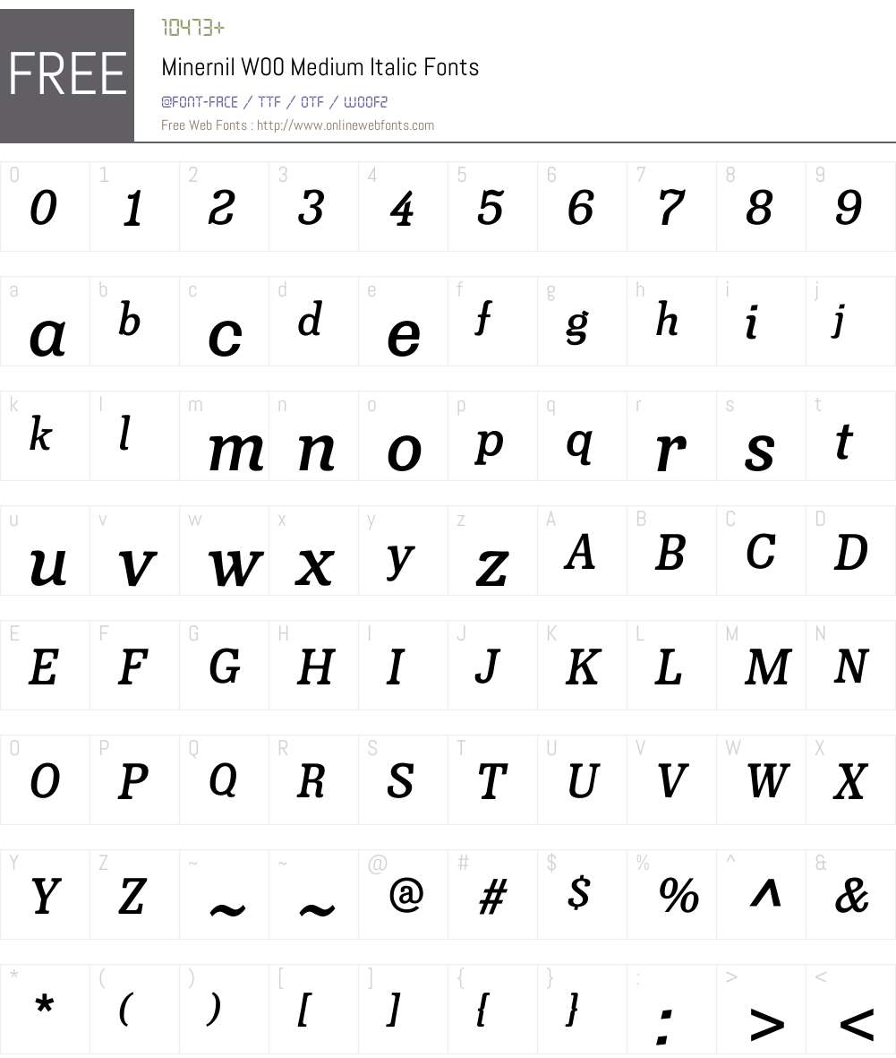 MinernilW00-MediumItalic Font Screenshots