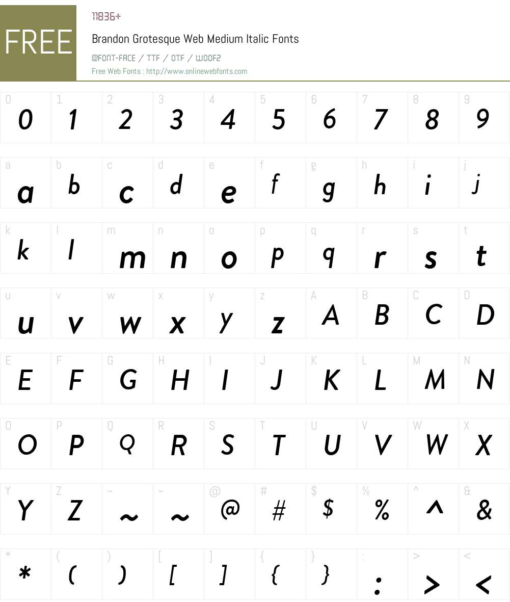 BrandonGrotesqueWeb-MediumItalic Font Screenshots