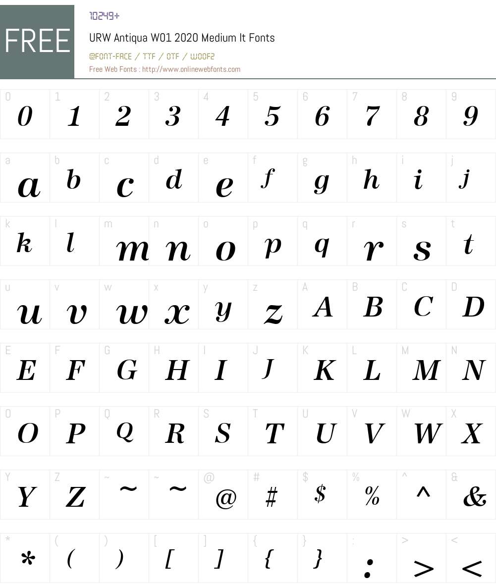 URWAntiquaW01-2020MediumIt Font Screenshots