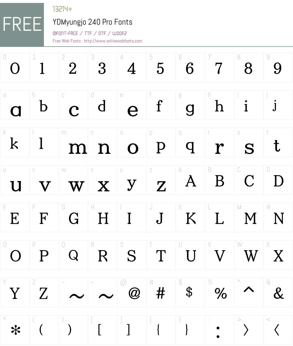 YD Myungjo 200 Font Screenshots