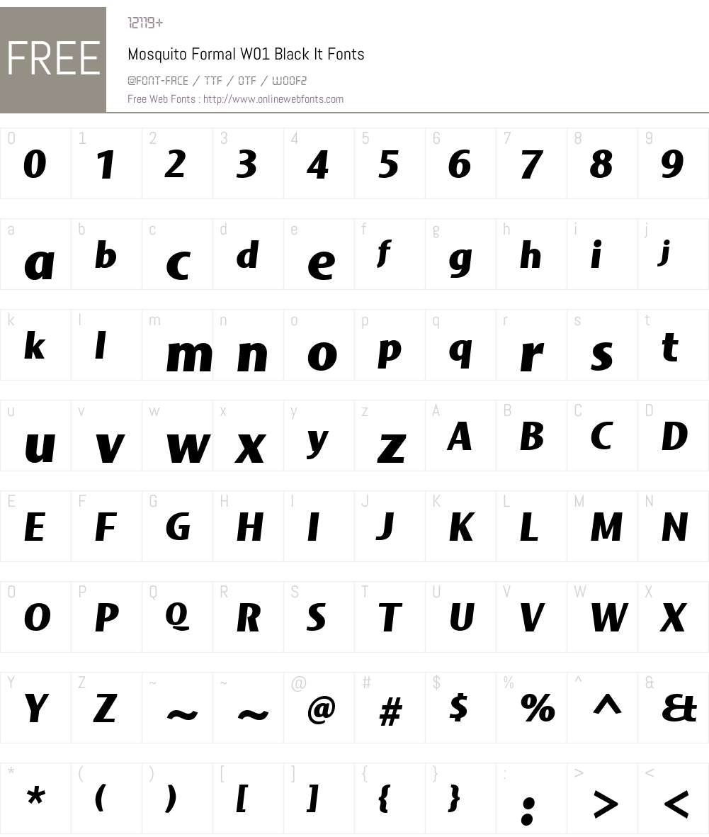 MosquitoFormalW01-BlackIt Font Screenshots