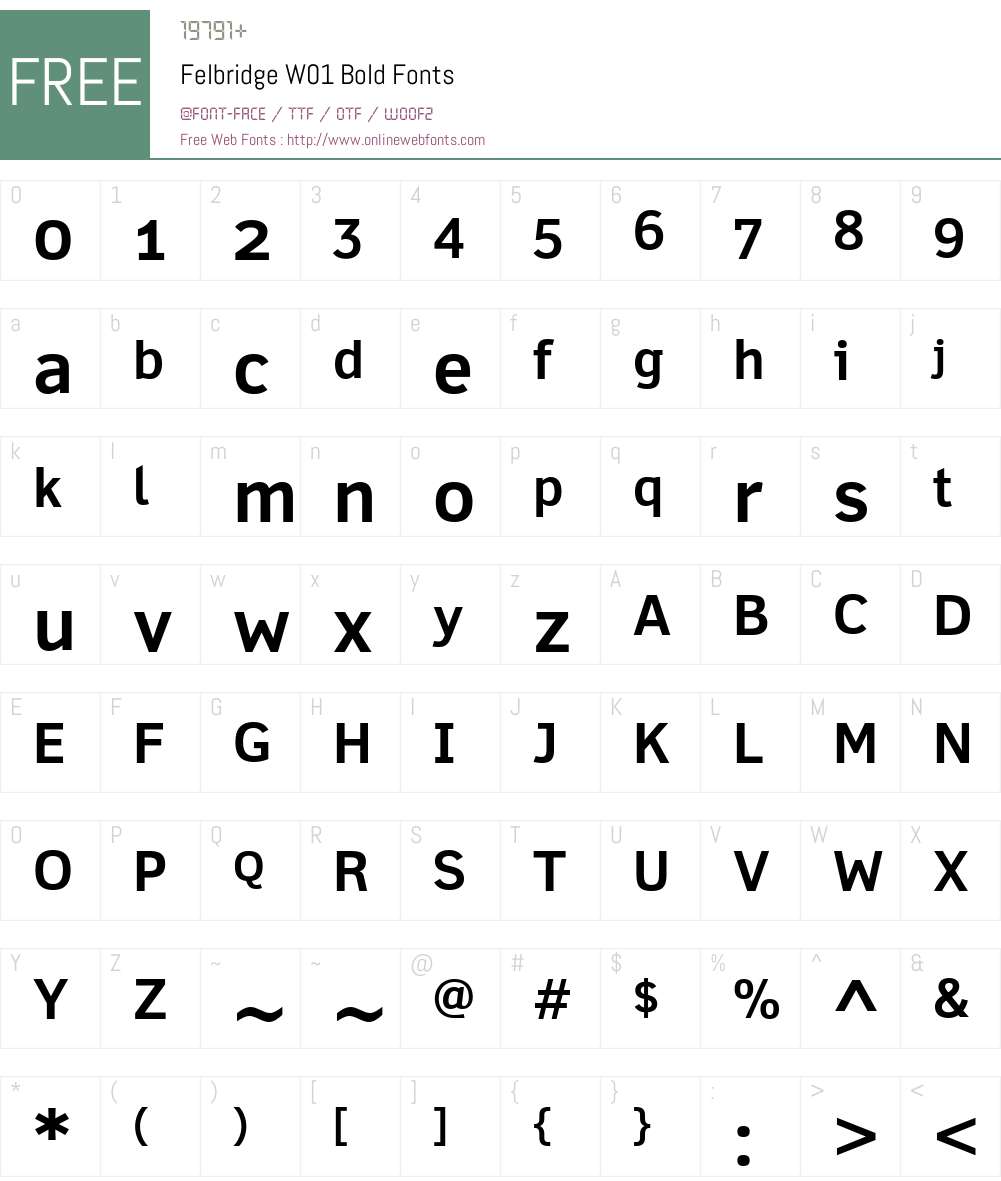 FelbridgeW01-Bold Font Screenshots