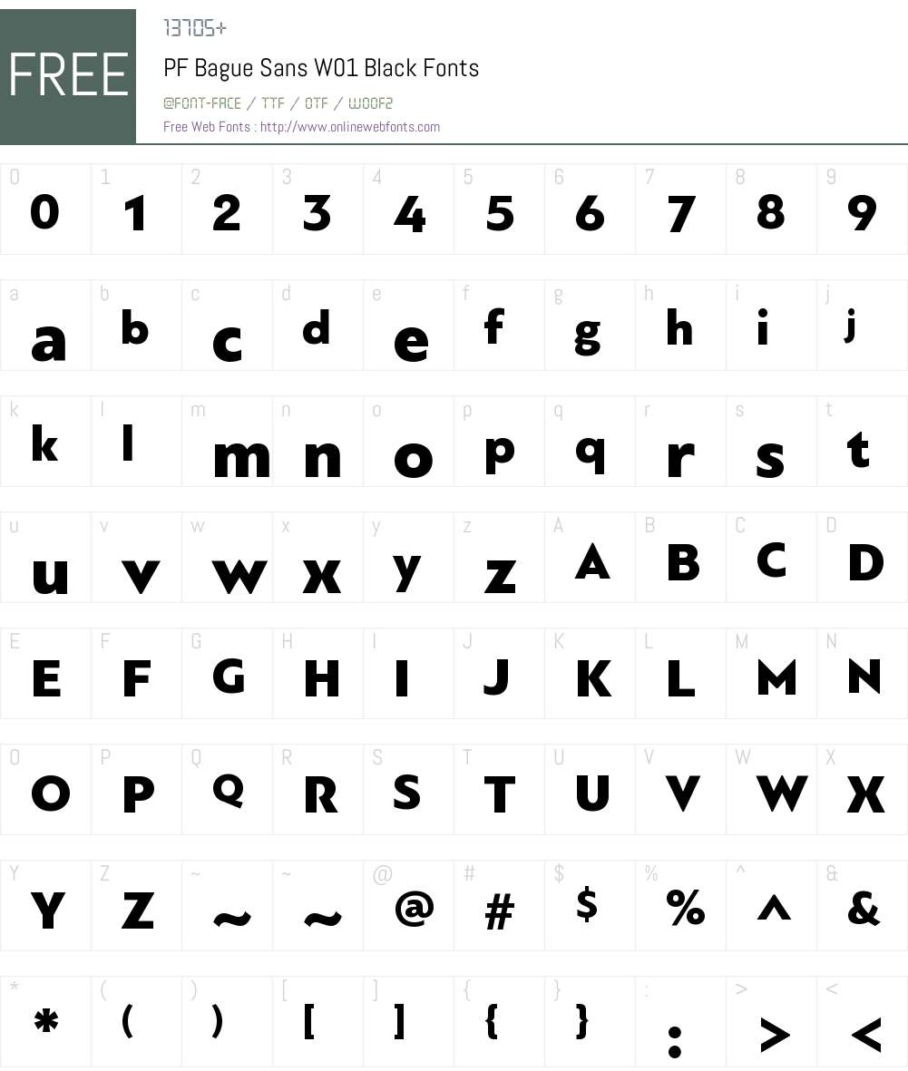 PFBagueSansW01-Black Font Screenshots