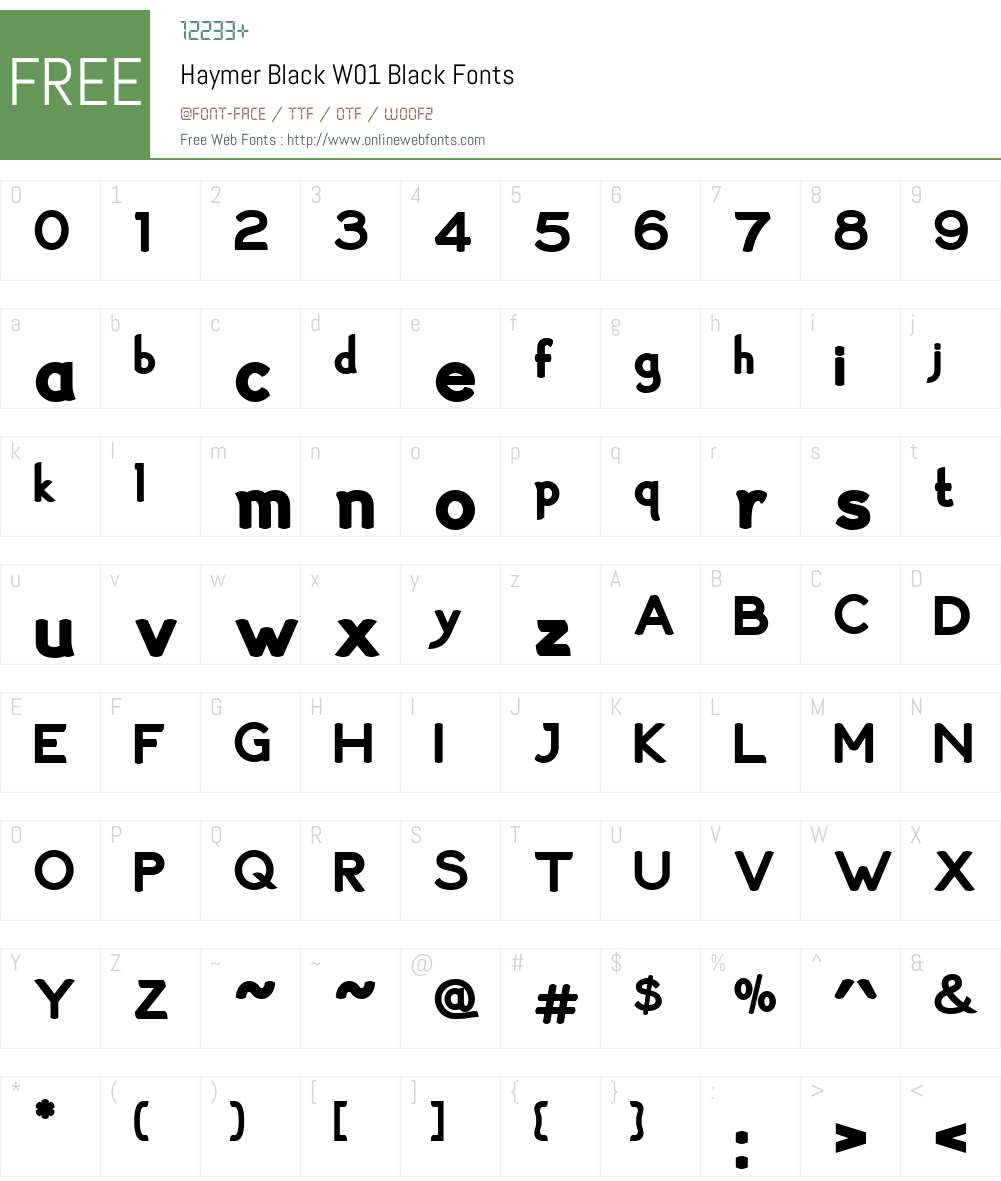 HaymerBlackW01-Black Font Screenshots