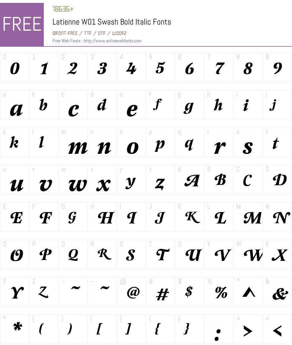 LatienneW01-SwashBoldItalic Font Screenshots