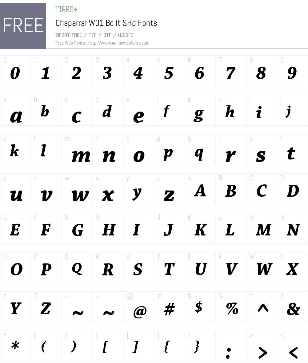 ChaparralW01-BdItSHd Font Screenshots