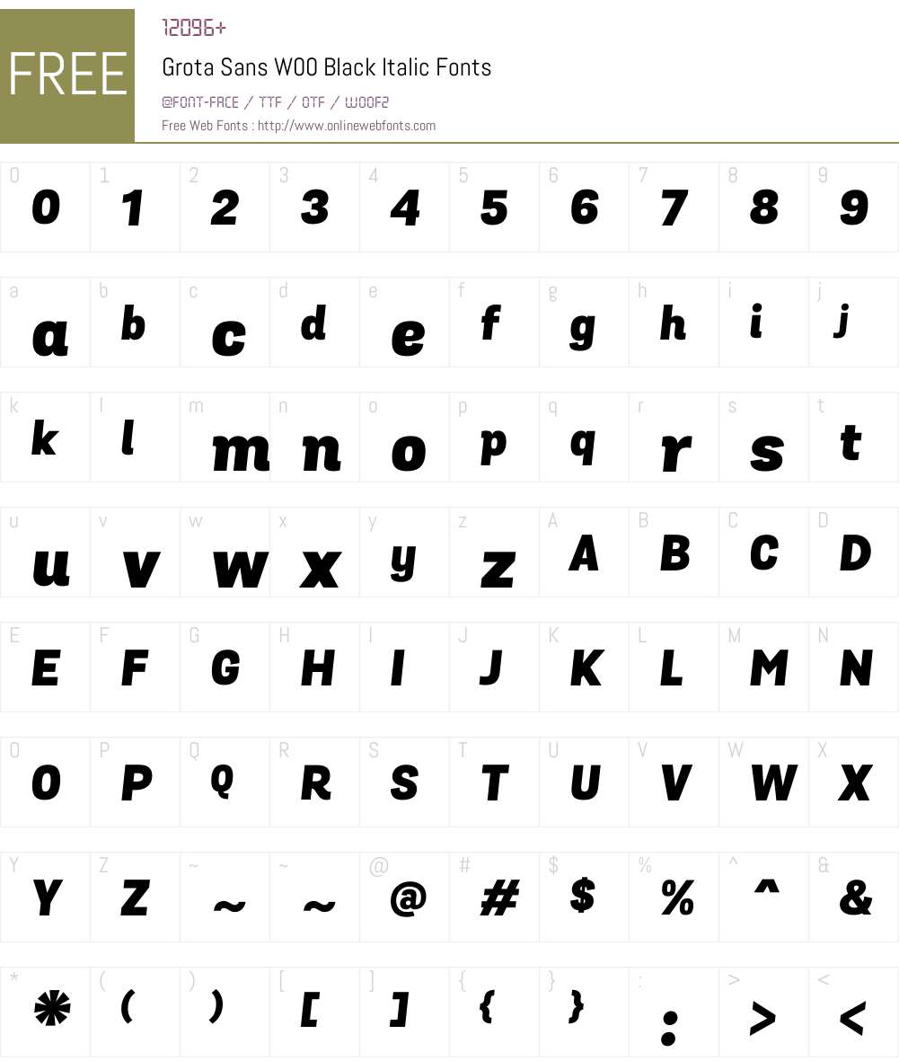 GrotaSansW00-BlackItalic Font Screenshots