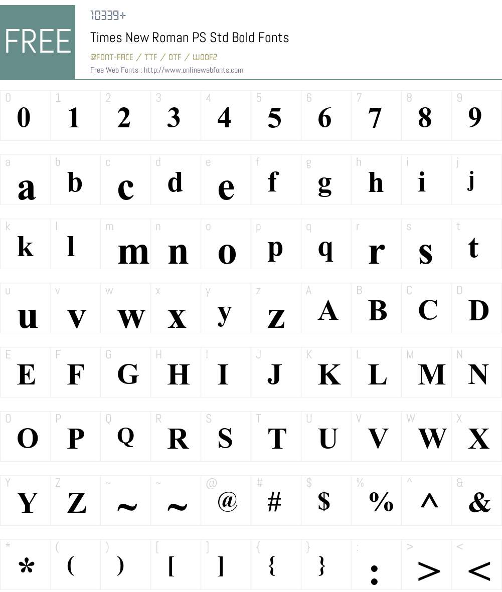 Times New Roman PS Std Font Screenshots