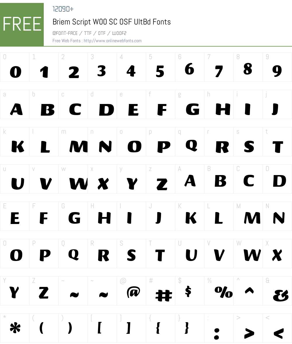BriemScriptW00-SCOSFUltBd Font Screenshots
