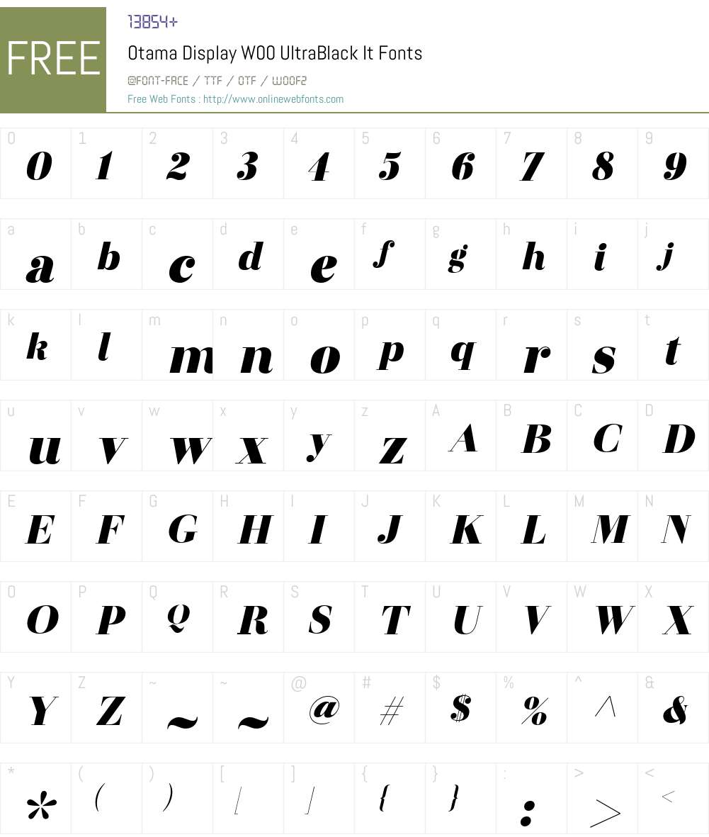 OtamaDisplayW00-UltBlackIt Font Screenshots