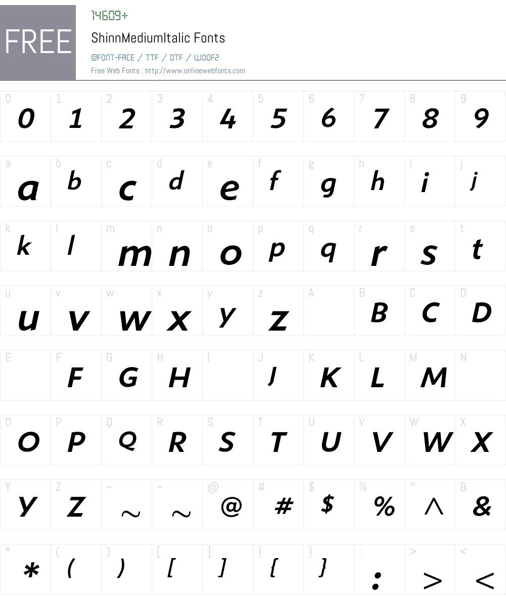 ShinnMediumItalic Font Screenshots
