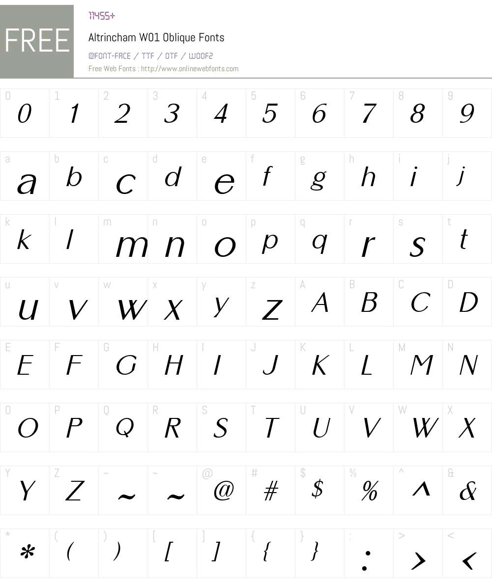 AltrinchamW01-Oblique Font Screenshots