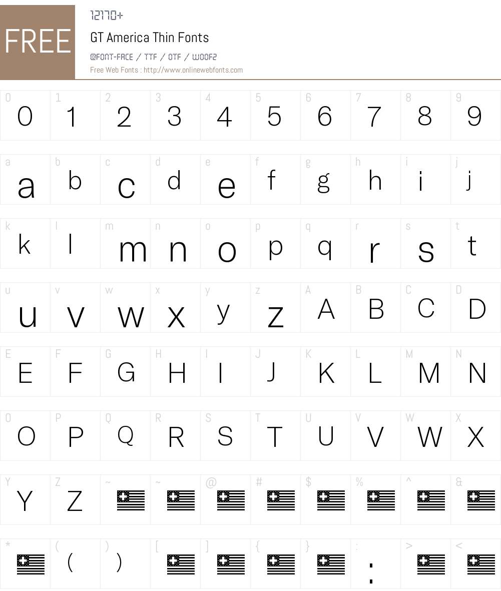 GT America Thin Font Screenshots